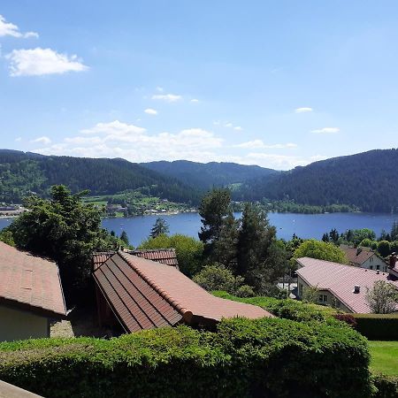 Esprit Myrtille Balcon Vue Lac Gérardmer Eksteriør billede
